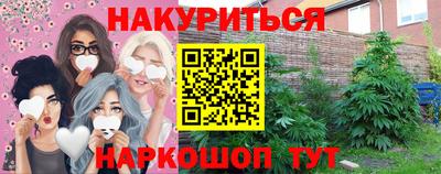 дживик Бийск