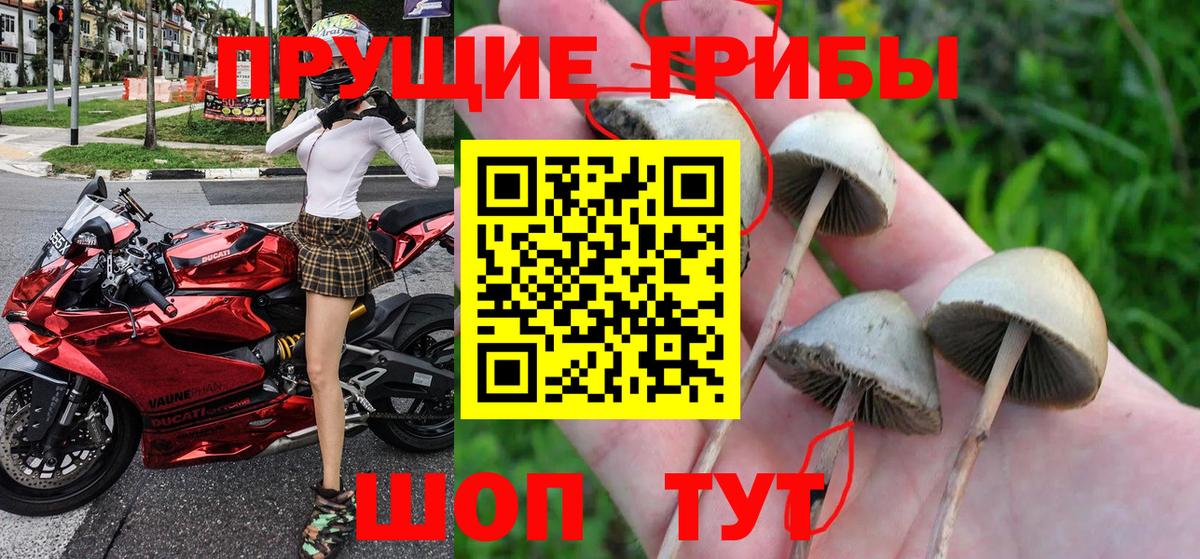Галлюциногенные грибы прущие грибы Крымск